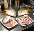 Golden pomfret with fresh silver and gold skin